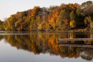 Briggs Woods Lake