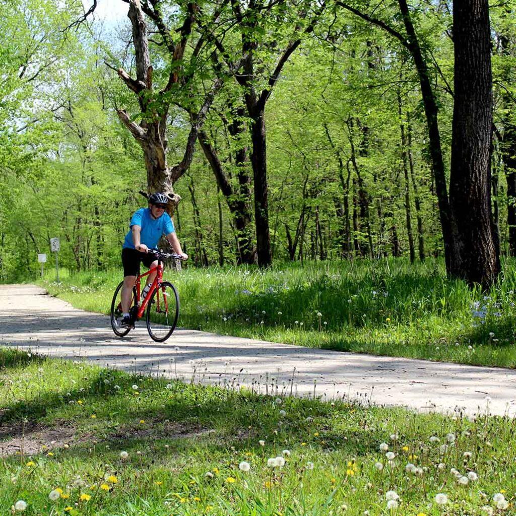 a person biking on a wooded trail